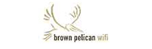 Brown Pelican WiFi