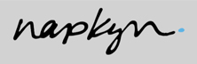 Napkyn - Top Google Marketing Solutions in Canada Napkyn