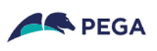 Pegasystems Inc.